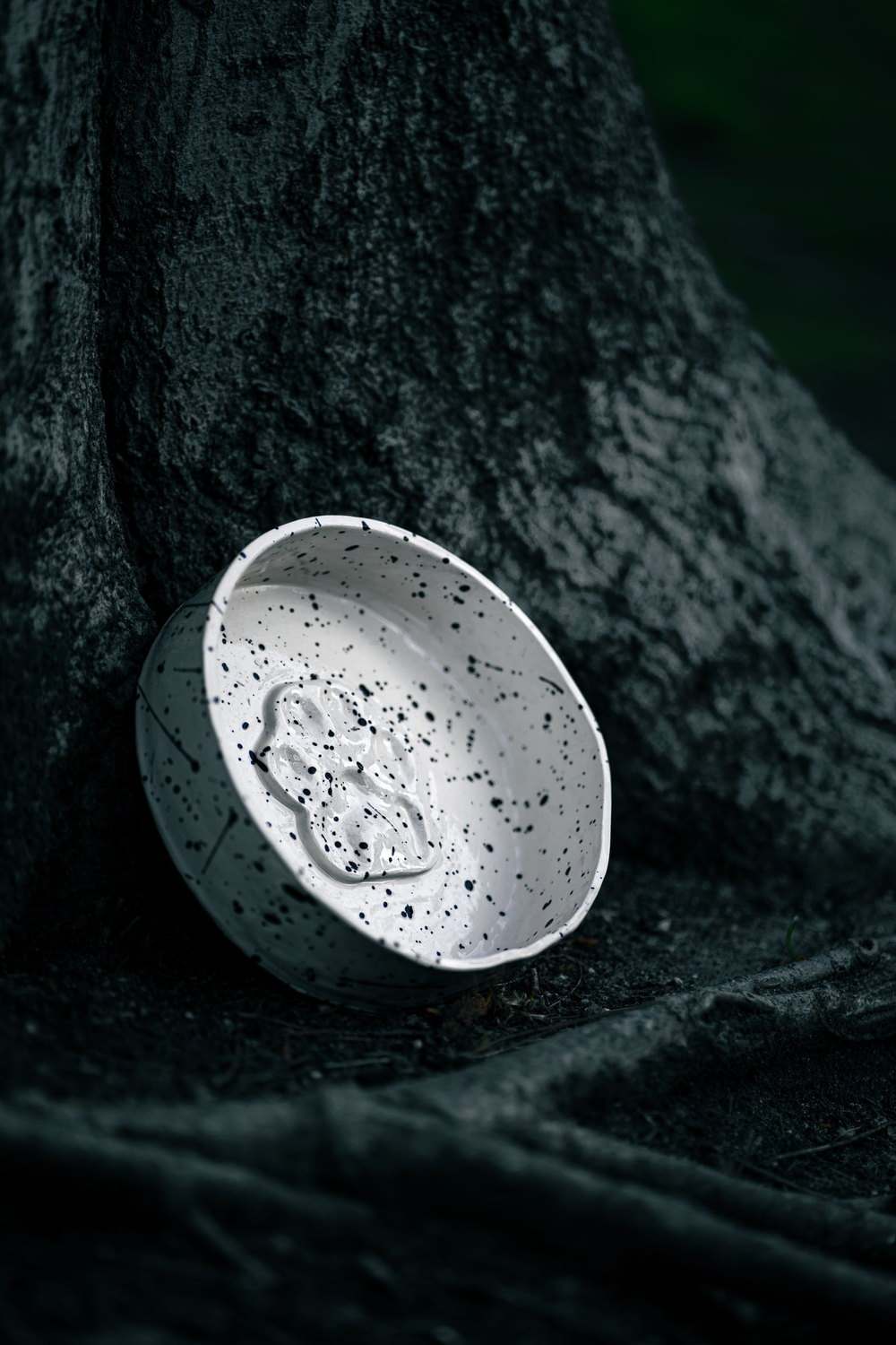A shallow white ceramic bowl speckled with black, tipped on its side against rough tree bark. The raised shape inside is the same white speckled glaze. Photograph by Alex Hoces. Not client work.